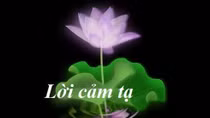 Thư cảm tạ
