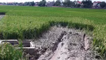 Vụ tai nạn kinh hoàng ở Bắc Ninh: Đại tang giữa đêm khuya