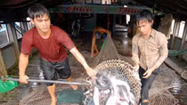Nghiên cứu thị trường Trung Quốc, tránh rủi ro cho nông dân