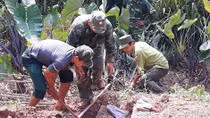 Phát hiện 3 hầm chôn đầy gỗ quý hiếm