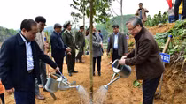 Đồng chí Trần Quốc Vượng dự lễ phát động Tết trồng cây tại Tuyên Quang