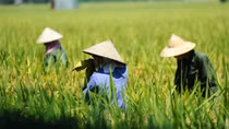 Bắc và Trung Bộ nắng nóng ngột ngạt