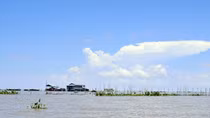 Ký ức về cá ở Biển Hồ
