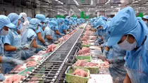 Cơ hội lớn cho các doanh nghiệp biết tận dụng ưu đãi