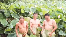 Trào lưu cởi đồ chụp bên hoa sen: Tội nghiệp đầm sen