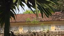 Trong thâm u, huyền mặc của thời gian