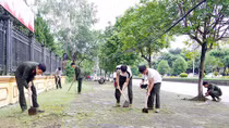 Gần 1.000 CBCS tham gia hưởng ứng Ngày môi trường thế giới năm 2019
