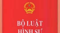 Trốn đóng bảo hiểm xã hội có thể bị phạt tù đến 7 năm