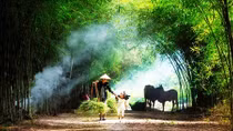 Bắc Bộ trời đẹp, Trung Bộ có mưa về chiều tối và đêm