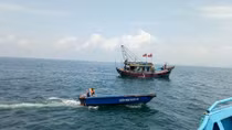 Xử phạt 4 tàu cá vi phạm về khai thác thủy sản