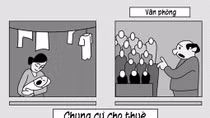 Đã là luật thì phải chấp hành