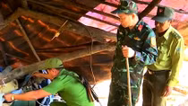 Đánh sập 30 hầm vàng khai thác trái phép