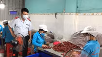 Phát hiện nhiều doanh nghiệp, cơ sở sản xuất ớt bột có chất gây ưng thư gan