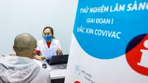 Vaccine Covivac đã có 400 tình nguyện viên đăng ký