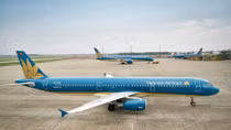 Vietnam Airlines vận chuyển cành đào, cành mai dịp Tết Canh Tý 2020