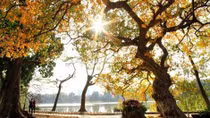 Miền Bắc đêm lạnh, ngày nắng ấm