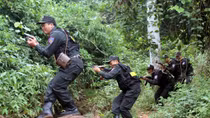 Nổ súng bắt gọn "ông trùm" trong đường dây buôn bán gần 1.400 bánh heroin