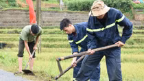 Sức trẻ tình nguyện giữa đại ngàn