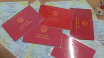 Sử dụng văn bằng giả, Chủ tịch phường bị kỷ luật