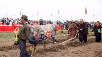 Phó Thủ tướng Thường trực Trương Hòa Bình áo vải xuống đồng trong lễ Tịch Điền