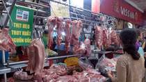 Khẩn trương siết chặt “đường đi” của thịt lợn