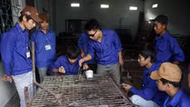 Không có người học, nhiều trường nghề ở Hải Phòng đóng cửa