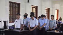 Hàng loạt cán bộ giữ rừng lĩnh án vì lập hồ sơ khống