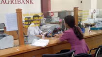 Agribank tiếp sức cho người nông dân lao động xuất khẩu