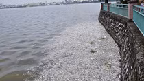 Tổng rà soát, kiểm tra các cơ sở xả thải xuống Hồ Tây