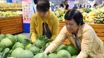 Cần đầu tư mạnh vào công nghiệp chế biến, giảm xuất khẩu thô