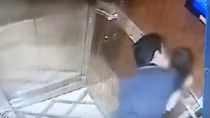 VKSND Tối cao: Xử lý nghiêm vụ sàm sỡ bé gái trong thang máy 