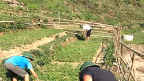 "Hoàn lương" từ đảo Long Hội