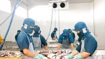 Đồng bằng sông Cửu Long nâng cao chất lượng thu hút đầu tư