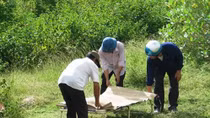 Trèo qua dải phân cách, một phụ nữ tử nạn giao thông