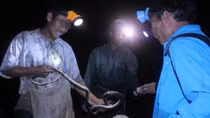 Nửa đêm tận diệt thú rừng