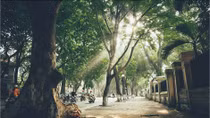 Cuối tuần, Hà Nội nắng gắt để chuẩn bị đón không khí lạnh