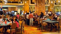 “Cò” Casino và sự thật kinh hoàng bên ngoài sòng bạc