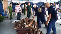 Tăng cường chống buôn lậu những ngày cuối năm