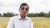 Chuyện về người tạo ra “Hạt ngọc” ngon nhất thế giới