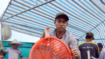 Ngành tôm Cà Mau gặp khó