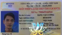 Đang trốn truy nã tội lừa đảo vẫn được cấp bằng lái xe