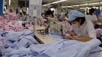 Hiệp định EVFTA- IPA: Đã đến lúc Việt Nam “lót ổ cho phượng hoàng vào đẻ trứng”