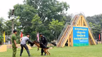 Đổi mới ở lò luyện cảnh khuyển