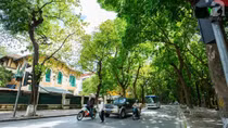 Bắc bộ giảm mưa giông, trời mát mẻ 