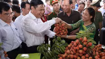 Nông sản Việt Nam đã chinh phục các thị trường “khó tính”