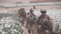 Afghanistan có còn là "quốc gia ma túy" khi Mỹ rút quân?