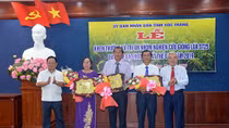 Sóc Trăng vinh danh loại gạo ngon nhất thế giới