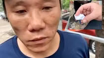 Con nghiện mua xi lanh, nước cất về... tiêm cho mèo