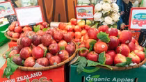 BRG Retail tổ chức “Tuần lễ táo New Zealand”