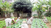 Đắng lòng gã buôn người nhìn vợ bế con đi lấy chồng